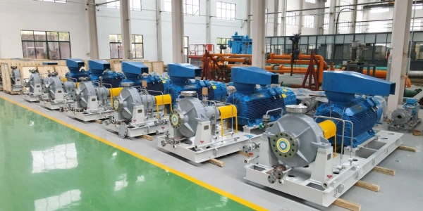 Heavy-duty Chemical Pump 6